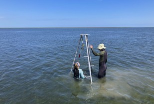 With UVA Discovery, We May Be One Good Solution Closer to Solving Climate Change