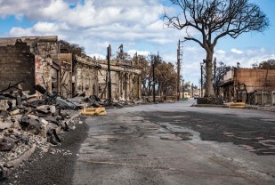 What Is a 'Flash Drought'? And How Did It Contribute to the Deadly Maui Fires?