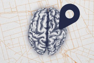 UVA Labs Map the Part of Our Brain That Helps Us Select Our Path