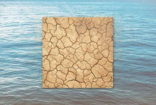 Carbon Capture May Not Rescue Drought-Prone Regions, Research Finds