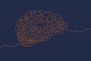 New Seizure Discoveries Advance Efforts To Develop Treatments