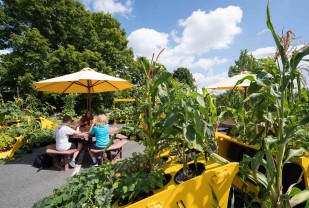 Pop-Up Natural Classroom Fertilizes Better Student Learning