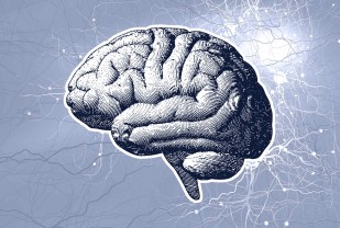 Medical School Discovery Advances Efforts To Prevent and Treat MS