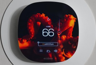 Your Home, Heated by Squid Protein? UVA Leads Successful First Testing for DOE