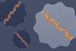 UVA Identifies Trigger for World's Most Common Liver Disease
