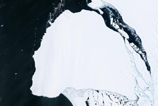 Q&amp;A: What's Next With the Brunt Ice Shelf Break? And What About the Penguins?