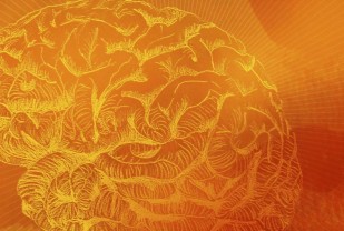 New Brain Sensor Offers Answers About Alzheimer's