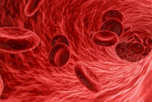 Anemia Discovery Points to More Effective Treatment Approaches
