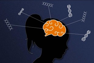 Autism Develops Differently in Girls Than Boys, New Research Suggests