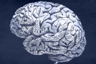 Brain Discovery Could Have Important Implications for Neurodegenerative Diseases