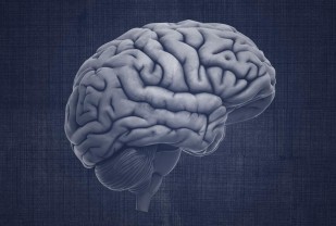 Childhood Brain Tumor Discovery May Unlock New Treatments for Many Cancers