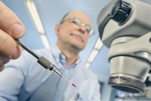 In a Dish, a Mouse, Crafted From Stem Cells, Begins to Form