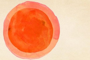 Fertilization Discovery Reveals New Role for the Egg