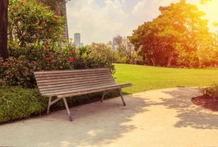 Study Examines How Green Space Can Reduce Violent Crime