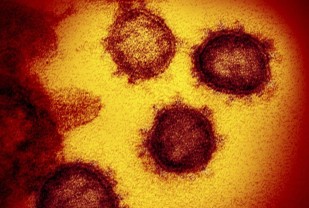 Here Is What You Need to Know About the New Coronavirus Variant, Omicron