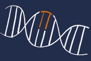UVA Reveals How Gene Mutation Boosts Cancer Risk