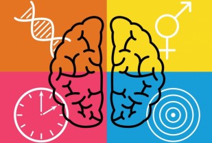 Four Reasons for Optimism from Autism Researcher Kevin Pelphrey