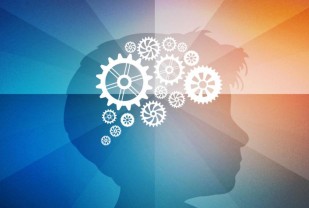 Study: What Brain Scans Reveal About Learning Math