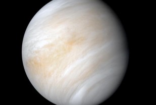 Could Nearby Venus Harbor Life? An Astronomer Helps Unfold the Mystery