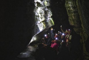 Wally's World: UVA Wise Professor Tracks Appalachia's Salamanders