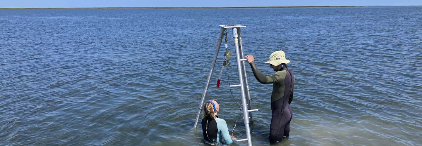 With UVA Discovery, We May Be One Good Solution Closer to Solving Climate Change