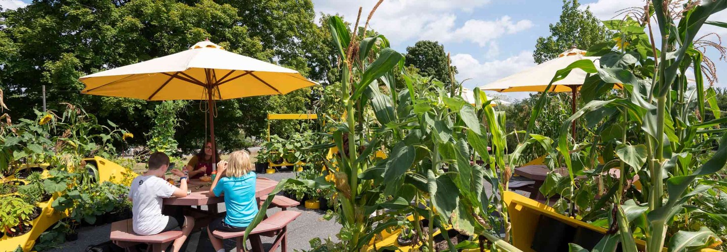 Pop-Up Natural Classroom Fertilizes Better Student Learning