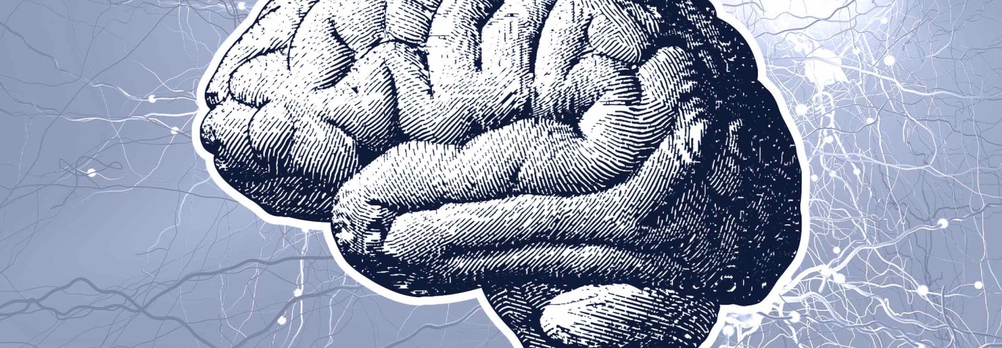 Medical School Discovery Advances Efforts To Prevent and Treat MS
