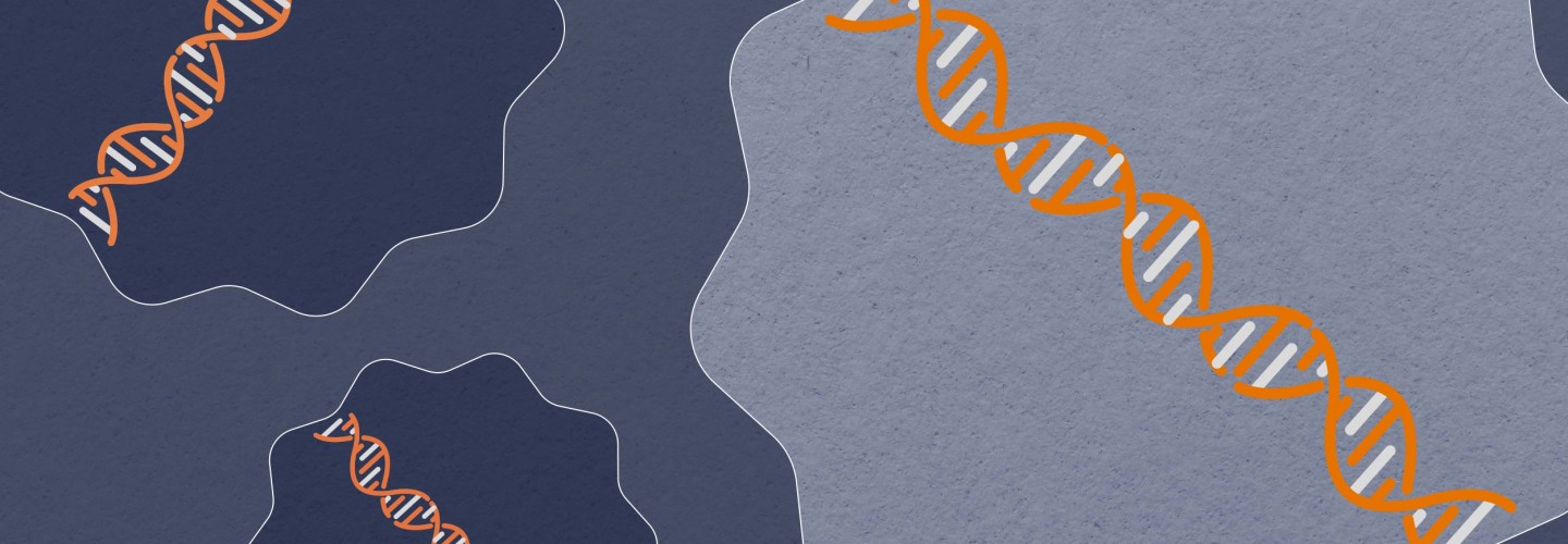 UVA Identifies Trigger for World's Most Common Liver Disease