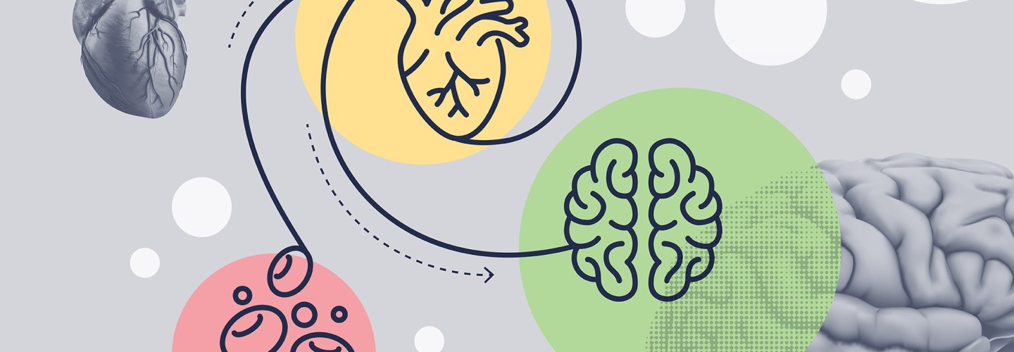 Scientists Transform Beating Heart Stem Cells Into Brain Cells