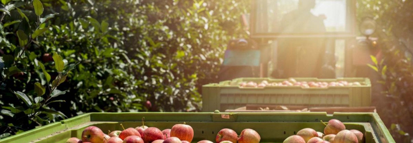 UVA Biocomplexity Institute Developing Artificial Intelligence for Agriculture
