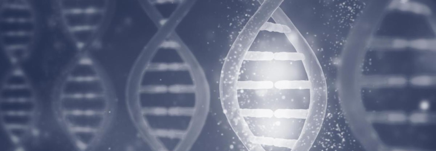 Major Asian Gene Study to Help Doctors Understand, Treat Disease