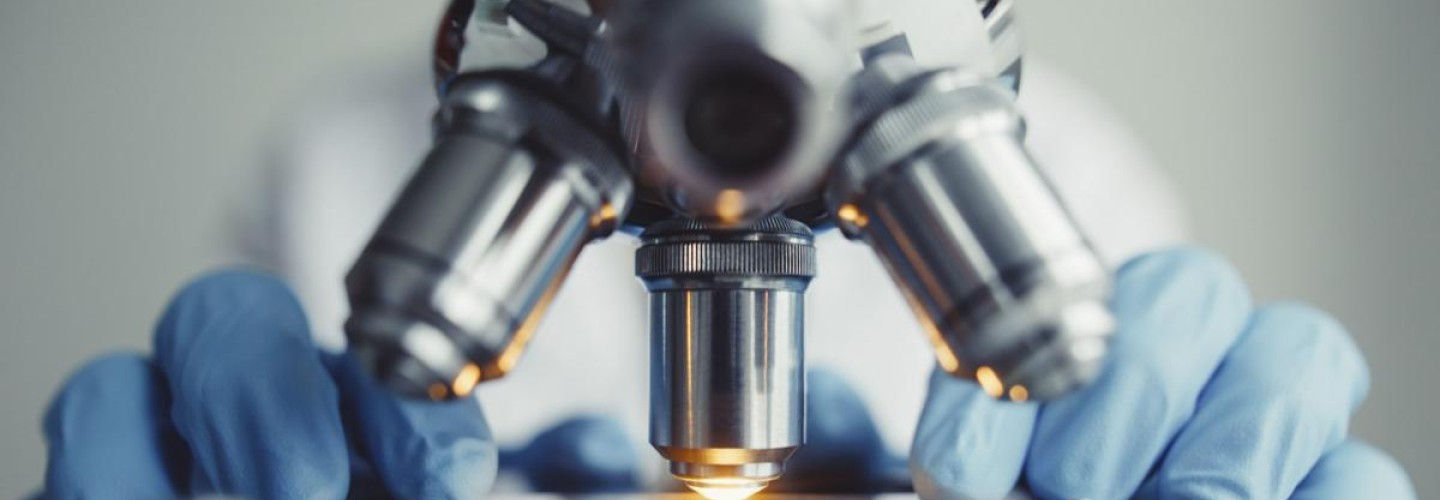 UVA Discovers Key Process in Cancer Tumor Formation