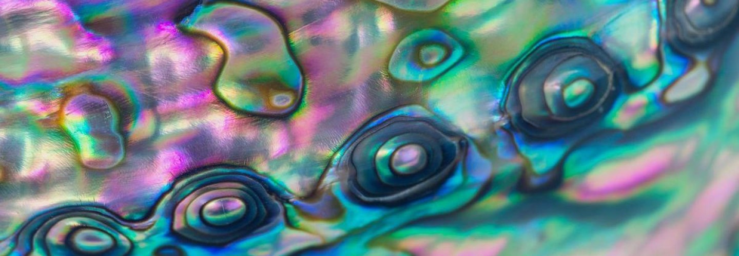 Inspired by Abalone Shells, Researcher Develops Strong, Lightweight Metal