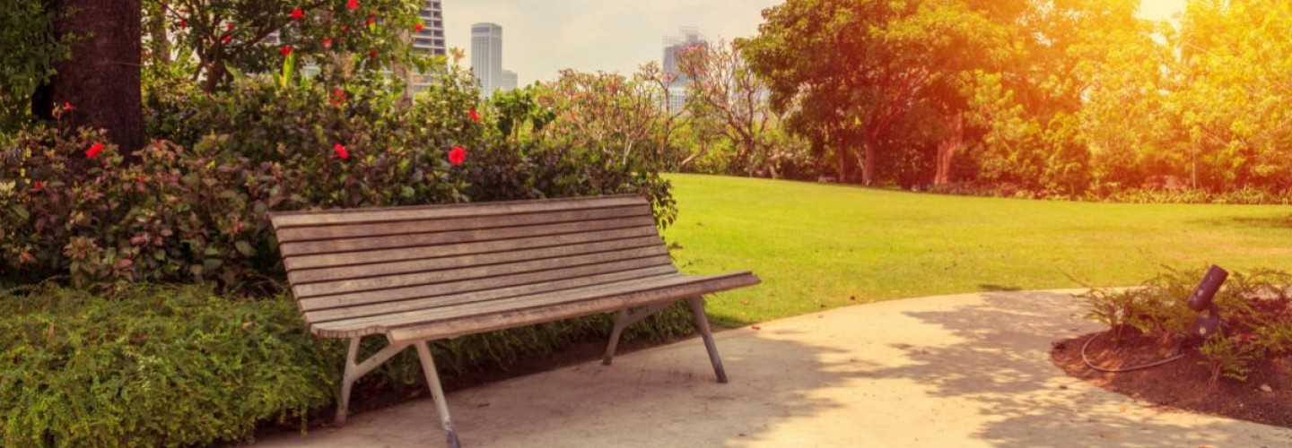 Study Examines How Green Space Can Reduce Violent Crime