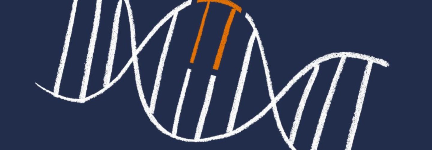 UVA Reveals How Gene Mutation Boosts Cancer Risk