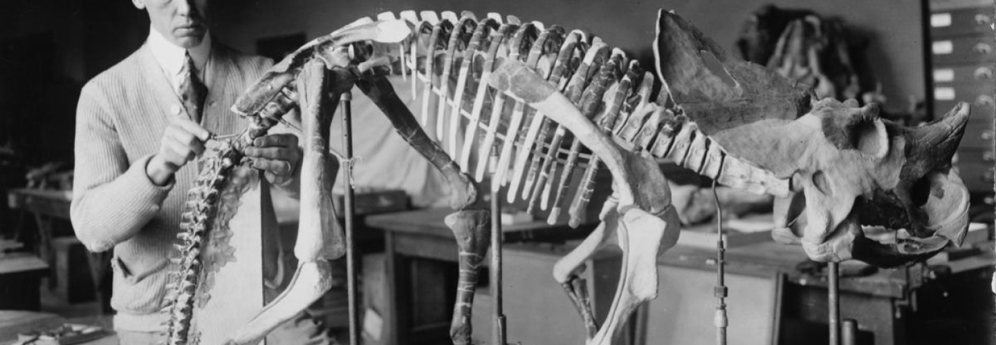 The Big Reveal in Fossil Research