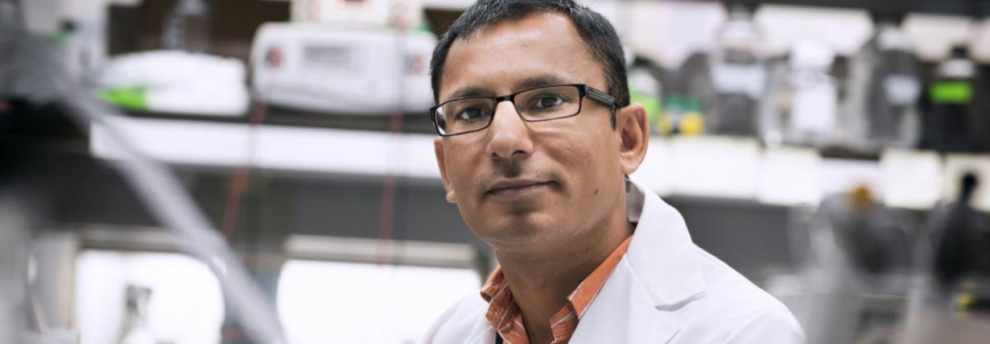 Cancer Discovery Could Revive Failed Treatments for Solid Tumors