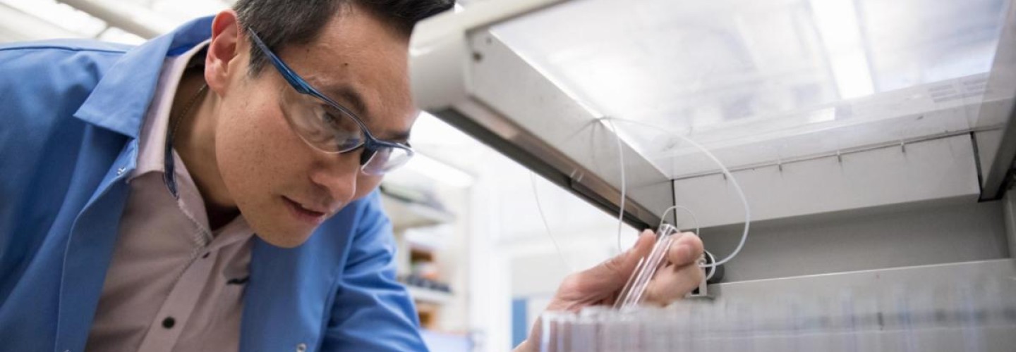 Q&A: Chemical Biologist Ken Hsu to Use NSF CAREER Award to Fight Cancer