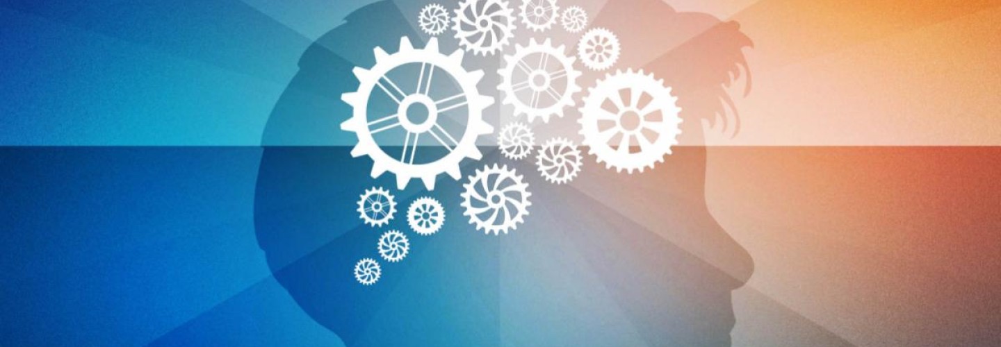 Study: What Brain Scans Reveal About Learning Math