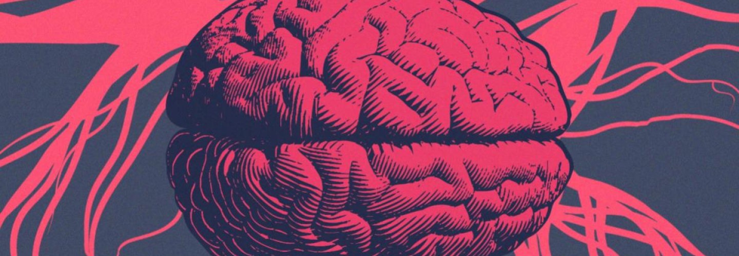 Discovery of New Role for Brain's Immune Cells Could Have Alzheimer's Implications