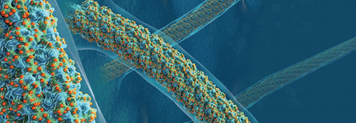 Discovery: Sugar can make things nearly indestructible