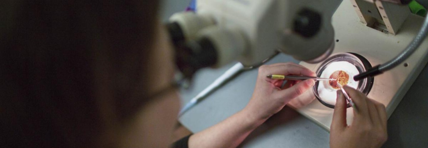University Issues Guidelines for Safe Ramp-Up of Research During Pandemic