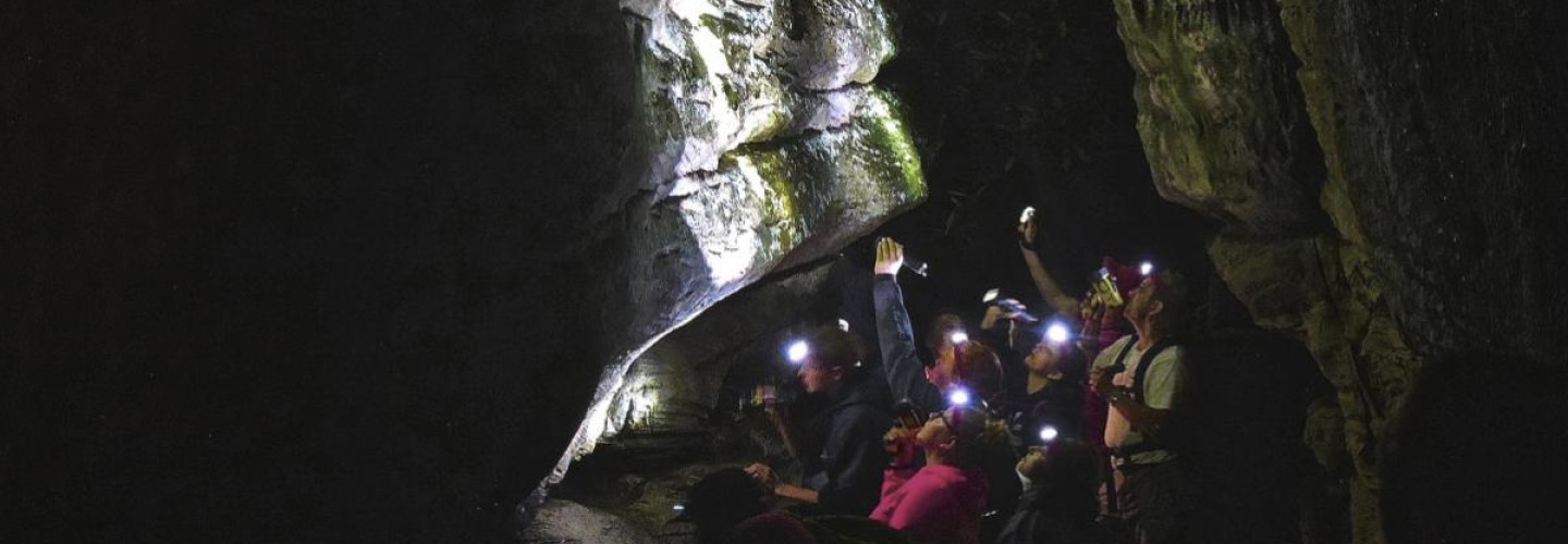 Wally's World: UVA Wise Professor Tracks Appalachia's Salamanders