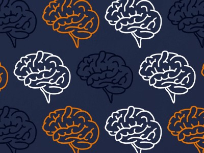 Brain imagery