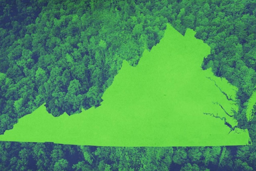 The study, released this week by UVA’s Weldon Cooper Center for Public Service, details the ways Virginia’s goal to eliminate carbon emissions by 2050 is achievable, affordable and can be a net benefit to the state’s economy.